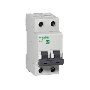 Termomagnética Schneider Bipolar 10 A